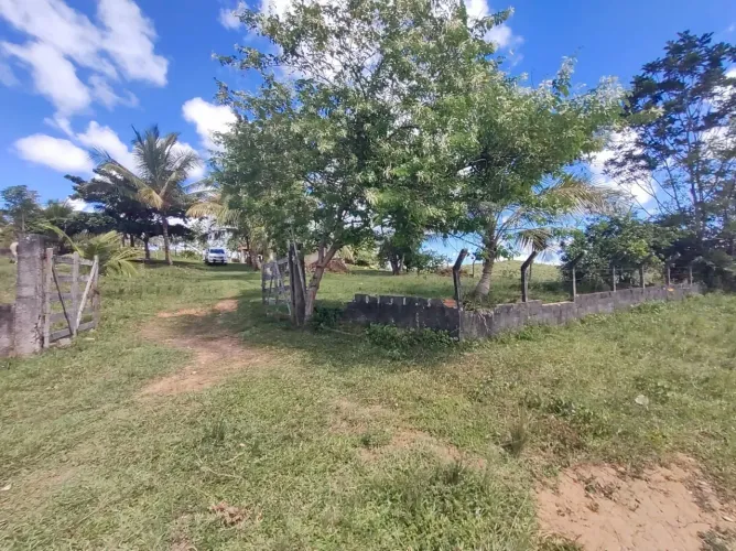 OPORTUNIDADE FAZENDA 50 TAREFAS SIMÕES FILHO.