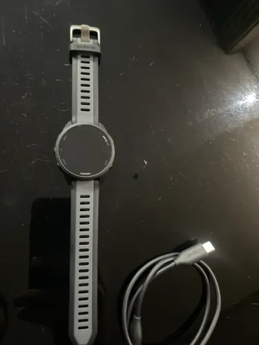 Garmin 165 