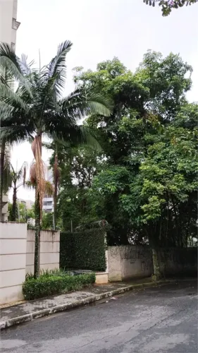Terreno/Lote, 737m² ideal para investidor na Vila Suzana