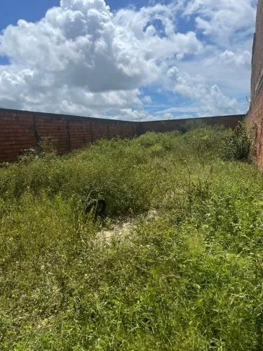 Terreno em Barreirinhas  