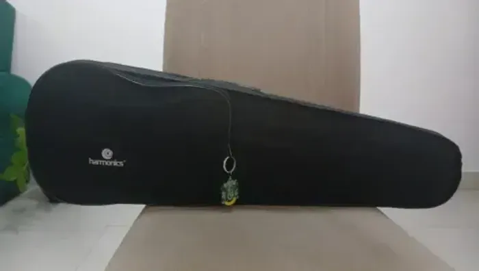 Estojo/case para Violinos 4/4