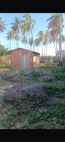 Terreno cajueiro da praia morro branco