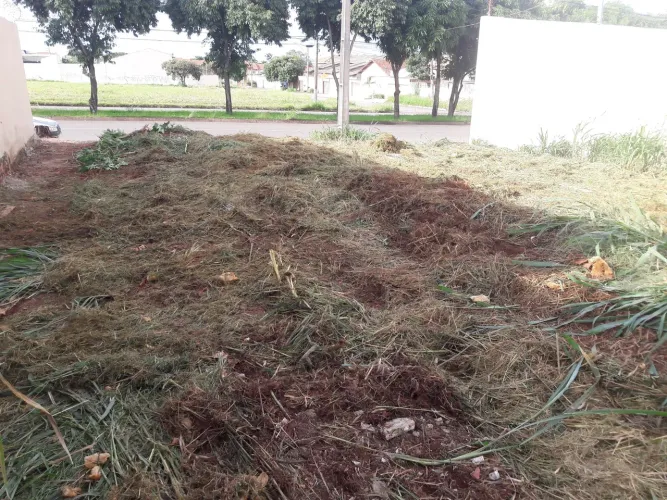 Área com 1407 mts rua gentil pinto qd 72 lts 5,6,7 vila rosa