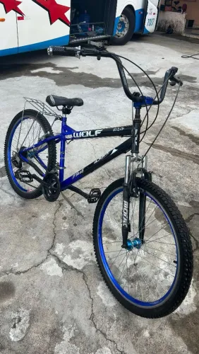 Bicicleta