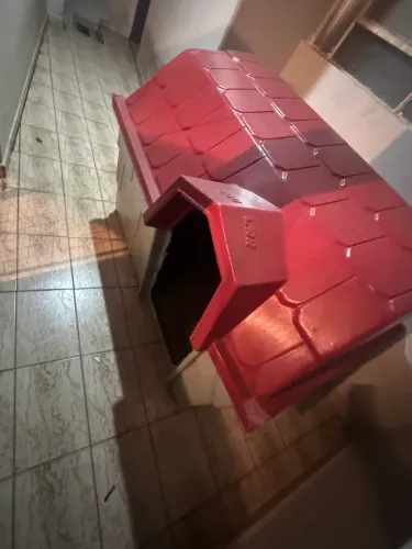 Casinha grande pra cachorro