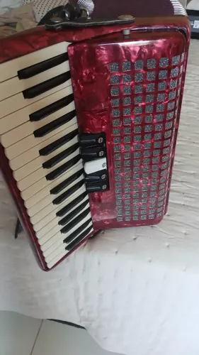 ACORDEON - Marca DOLPHIN
