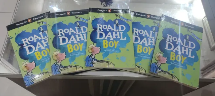 Livro Roald Dahl Boy Penguin Readers valor por unidade