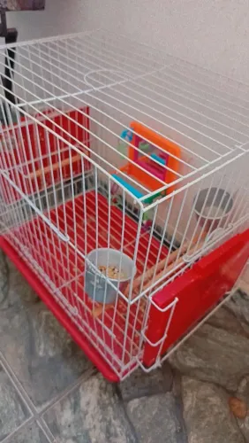 Gaiola para calopsita