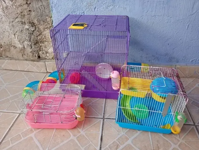 gaiola de hamsters