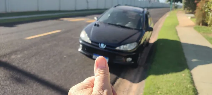 Peugeot 206 SW Feline 1.6/ 1.6 Flex 16V 5P 2006
