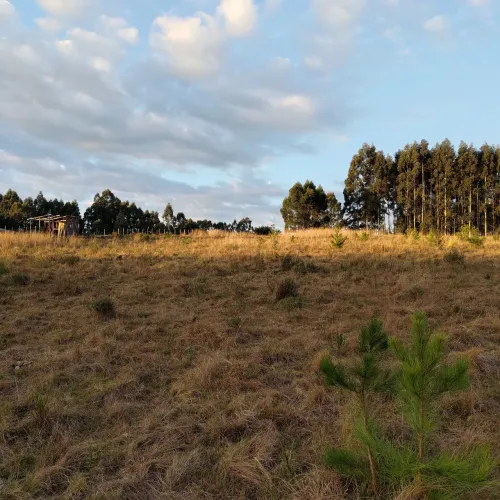 Chácara Próxima ao aeroporto