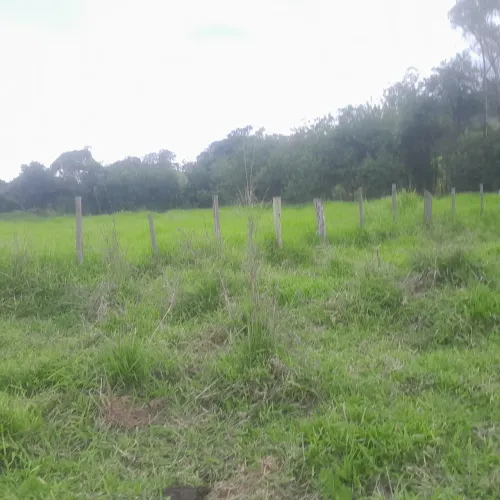 Terreno com área verde em azurita