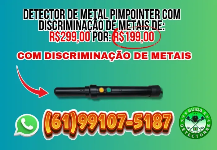DETECTOR DE METAL PROFISSIONAL 4.0 + PIMPOINTER DE BRINDE
