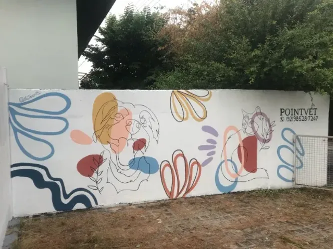 SERVIÇO PINTURA ARTISTICA MURAL ( PINTOR )