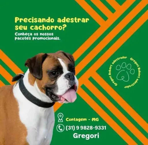 Adestrador em Contagem - Adestrador de cães 