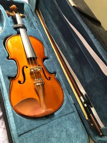 Violino Eagle 4/4 VÊ441