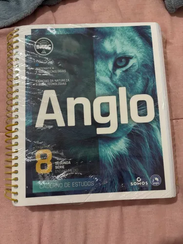Apostila de estudo anglo ensino médio
