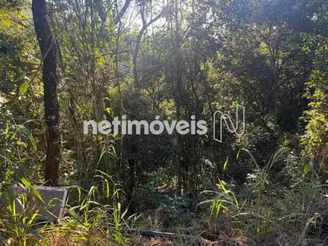 Venda Lote em condomínio VILA CASTELA Nova Lima
