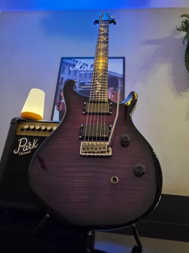 Guitarra PRS SE Custom Paul Allender signature Purple Burst 