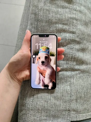 iPhone 13