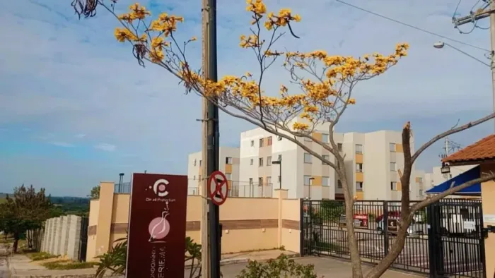 Vendo Apartamento Quitado/Sorocaba