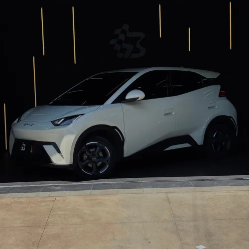 BYD Dolphin Mini (Elétrico) 2024