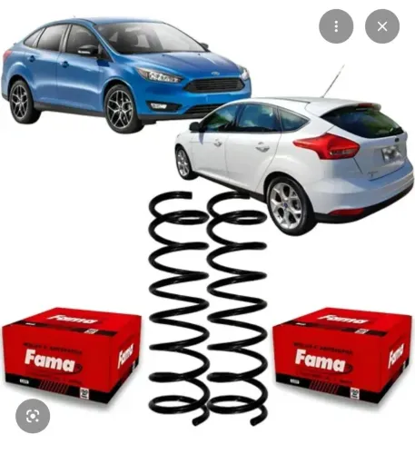 Molas traseiro Focus Hatch 