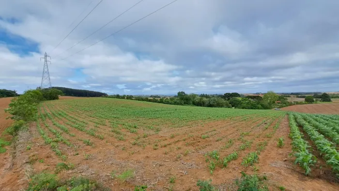 Terreno - Mato Dentro Araucaria
