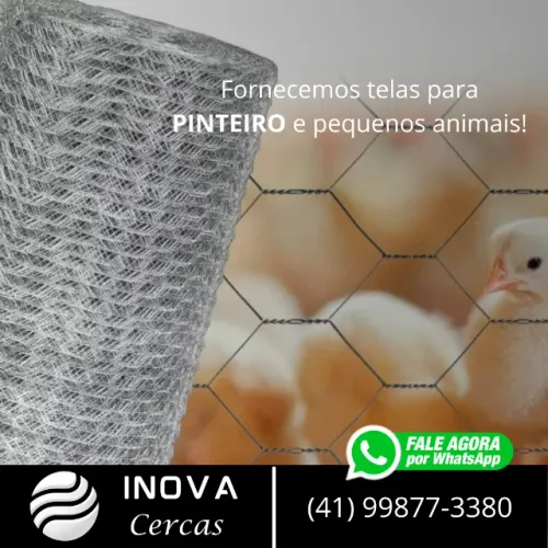 Tela para cercamentos de pintinhos