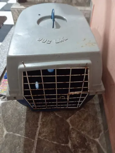 Caixa de transporte pet grande