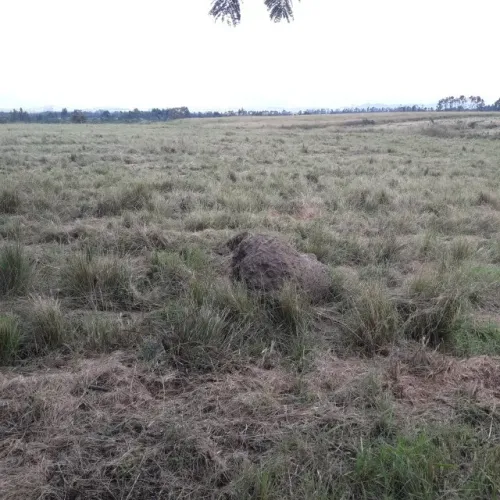 fazenda com 200 alqueires no vale do paraiba- 250 km da capital.
