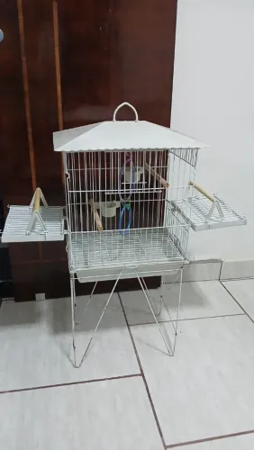 Vendo gaiola calopsita 