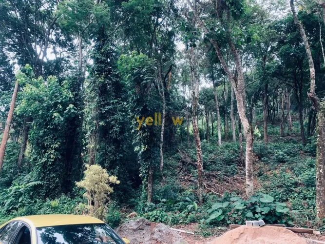 Terreno de Condomínio em Arujazinho II: Venda e Locação por R$ 600 mil - Confira!