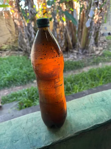 Extrato pirolenhoso