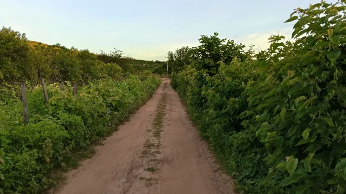 Vendo Terreno 30x30 na Fazenda Nova