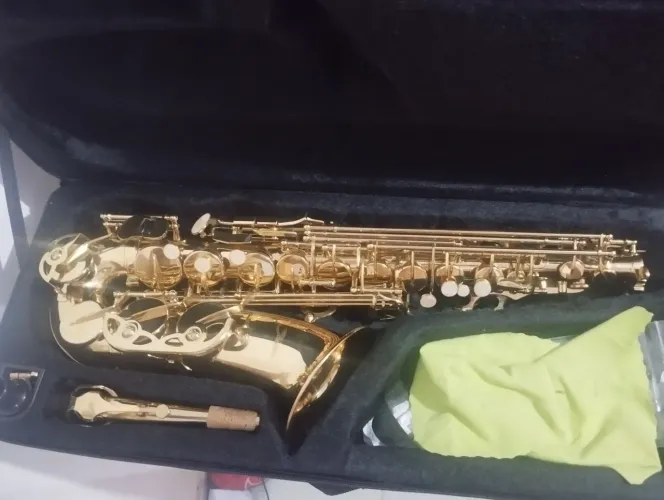 Sax alto shelter