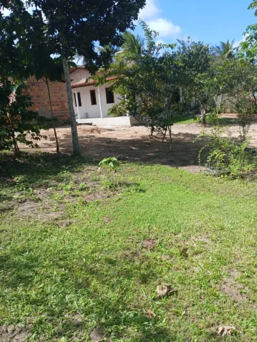 Sítio com casa dentro no conde Bahia,