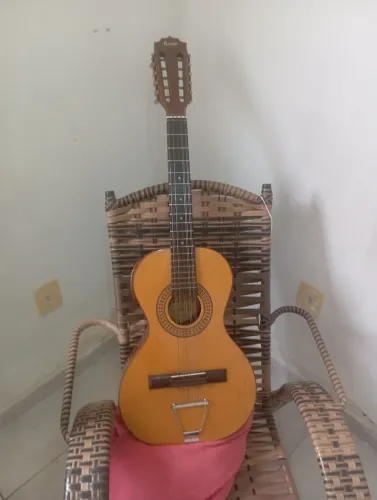 Viola caipira