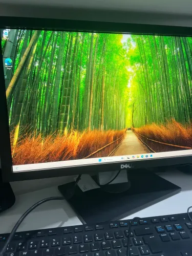 Dell Optiplex 3010