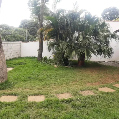 Sou jardineiro faço serviços