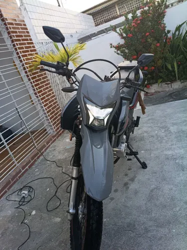  Shineray shi 175