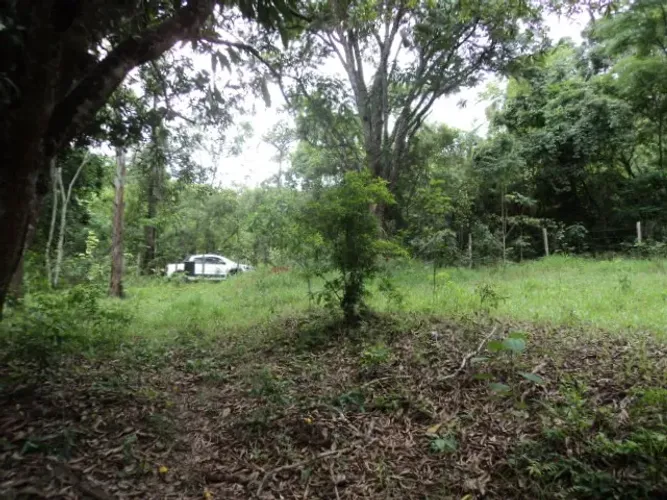 Pará de Minas - Fazendinha - 23.300 m² - Só R$ 20.000,00 de entrada - Oportunidade Única 