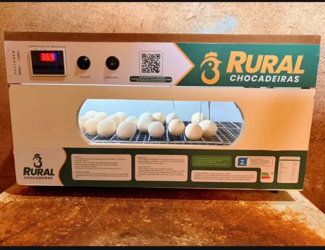 Chocadeira 