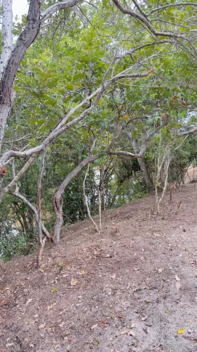 Terreno Tipo Sítio