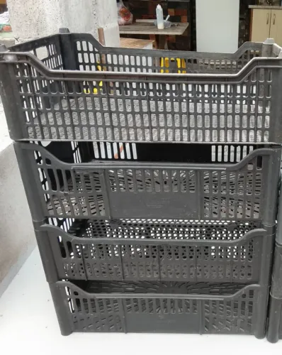Cesta plástica hortifrut