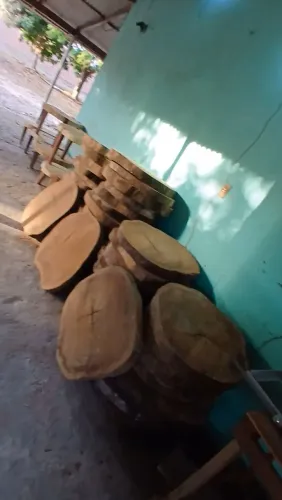 Vendo rodeiras (bolachas) de madeira,  ideais para produção de mesinhas de centro/canto.