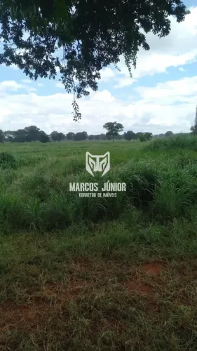 FENDO FAZENDA NA REGIÃO DE JANAUBA MG DE 145 HA PROXIMO A CIDADE E BEM LOCALIZADA