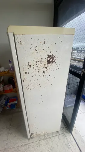 GELADEIRA ELECTROLUX RDE 30 SUPER