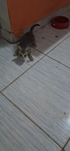 Doação 