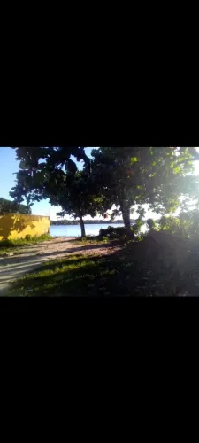 Vendo pedaço do paraíso muito verde!